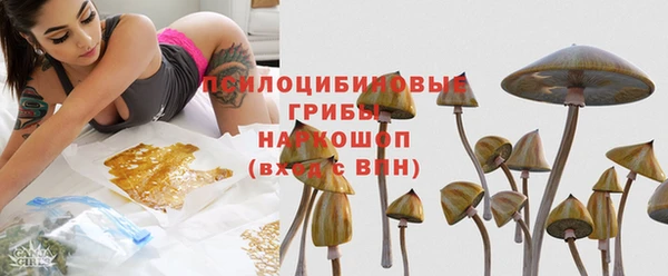 mdpv Володарск
