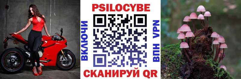 Псилоцибиновые грибы прущие грибы  даркнет сайт  Новый Оскол 