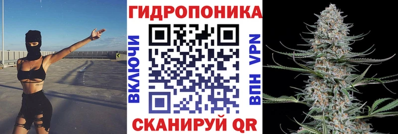 omg как войти  Новый Оскол  Марихуана семена  цена наркотик 